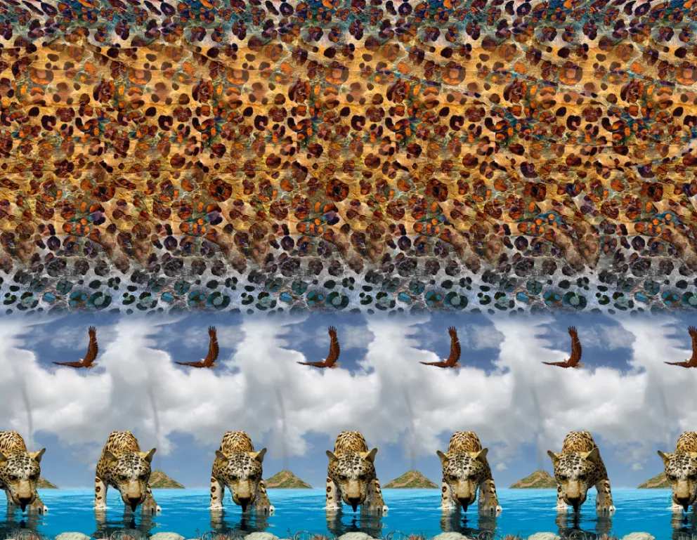 Zde by mohla pomoci kresba a barvy...