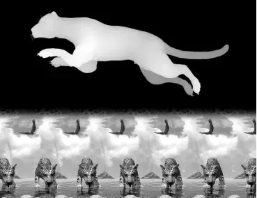 Zde by mohla pomoci kresba a barvy...