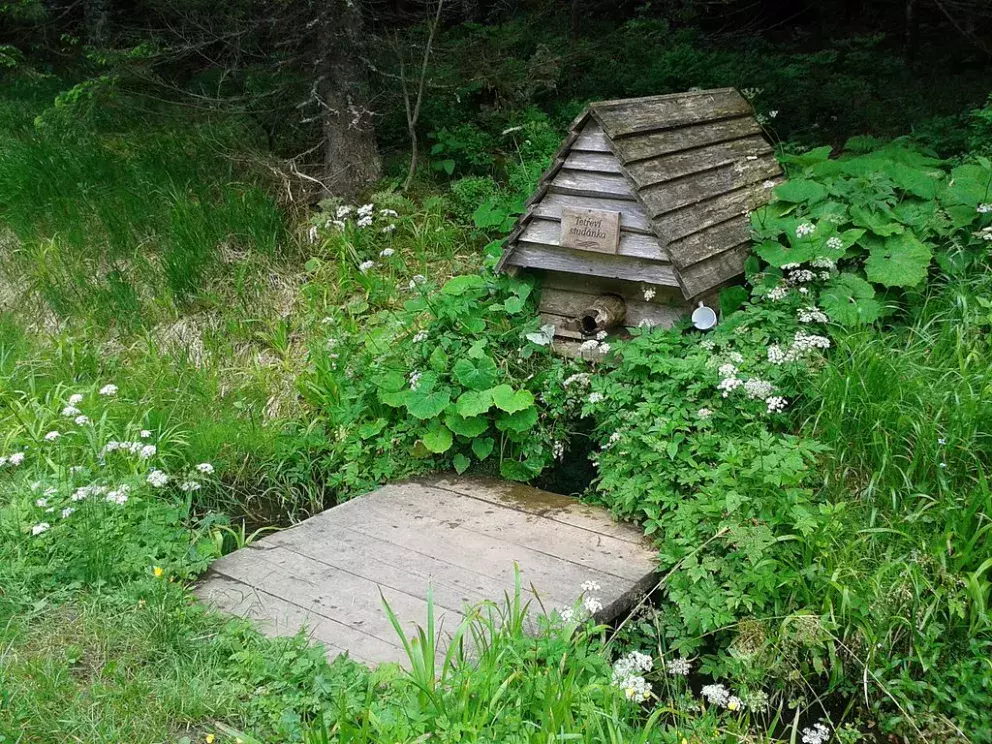 Tetřeví studánka
