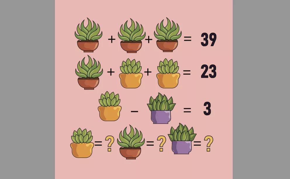 Jaká je hodnota každé rostliny podle barvy květináče