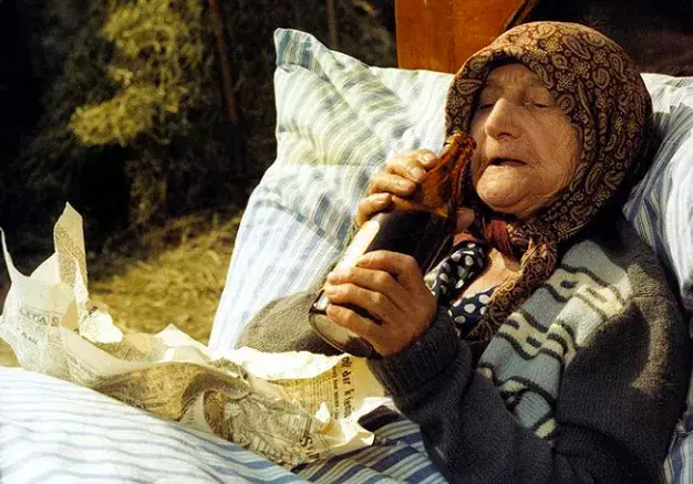 Slunce, seno, jahody