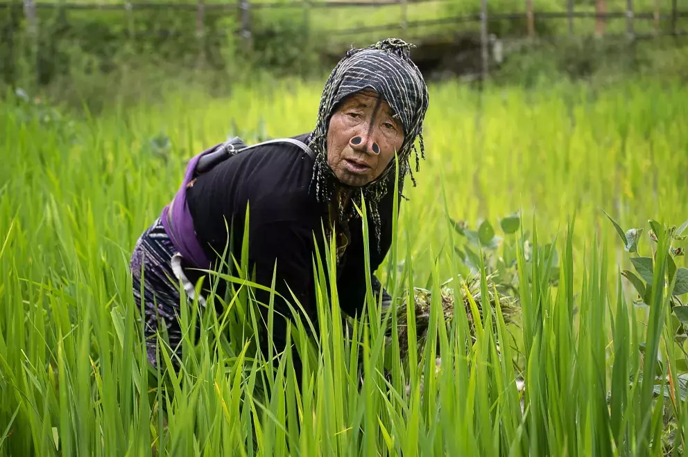 Apatanská žena při práci