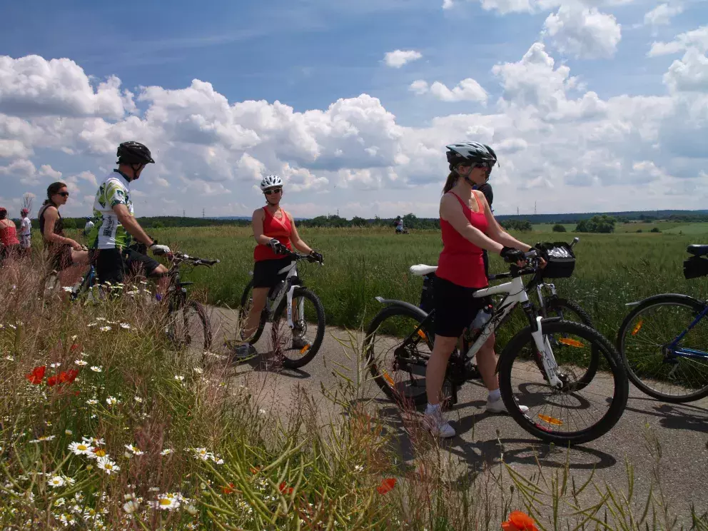 Moravské vinařské stezky