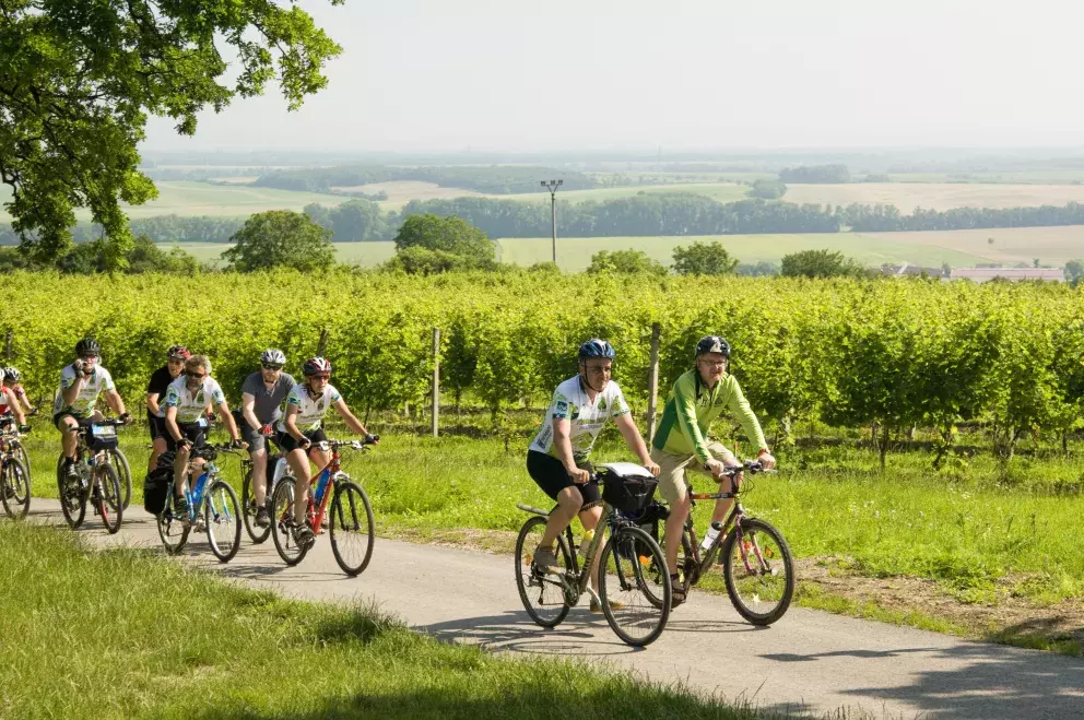 Moravské vinařské stezky