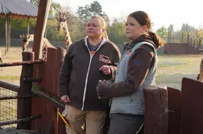 Berenika suchánková