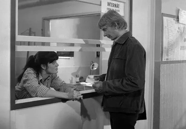 My všichni školou povinní