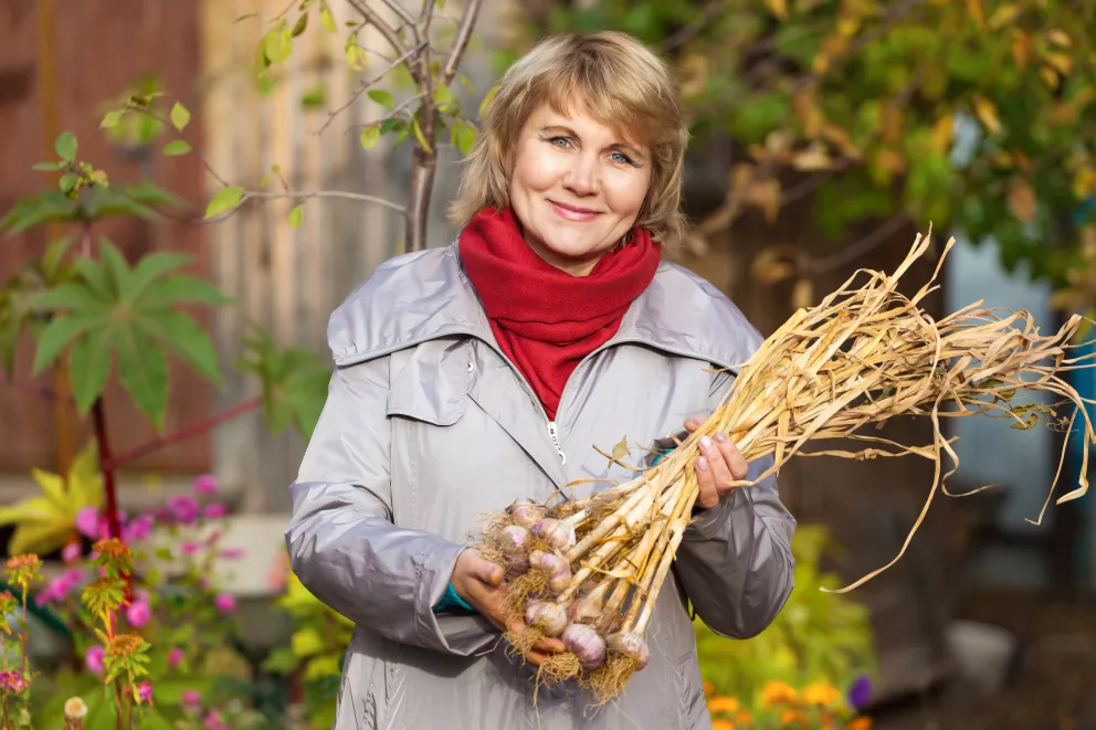 žena drží česnek