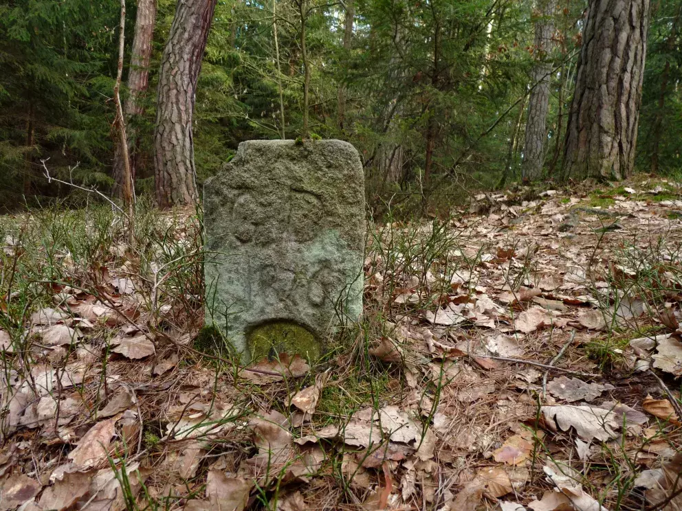 Záhadný Branišovský les