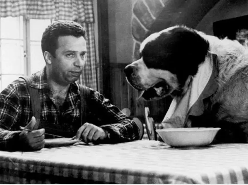 <p>A kdo by si nepamatoval Bohouše, tedy psa Baldura?</p>
