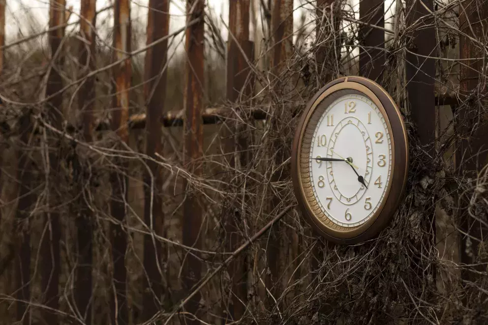 <p>Lidé, kteří již žili dříve, mají často silnou intuici</p>
