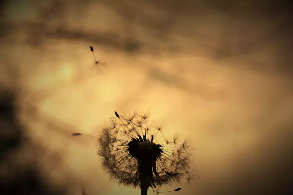 <p>Setkání s někým, kdo vám připadá jako starý známý, i když ho vidíte poprvé, může být důkazem minulého života</p>
