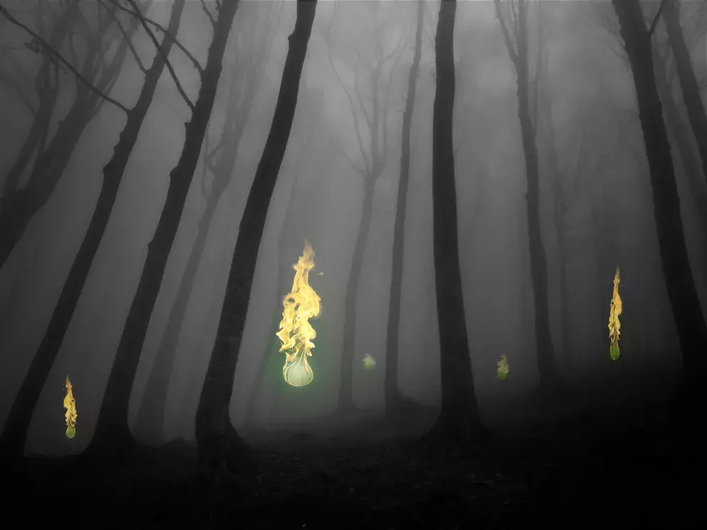 <p>Bludičky vypadají jako malé světelné koule nebo plamínky, které se mihotají v dálce</p>
