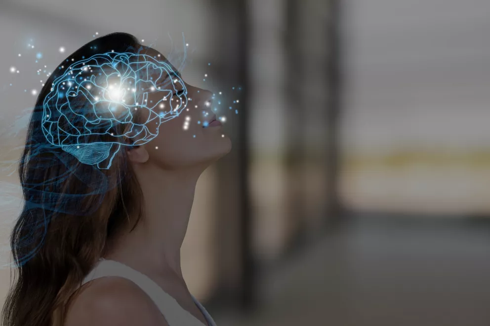 Mozek pracuje naplno