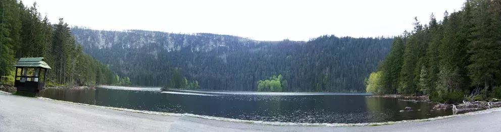 Černé jezero na Šumavě