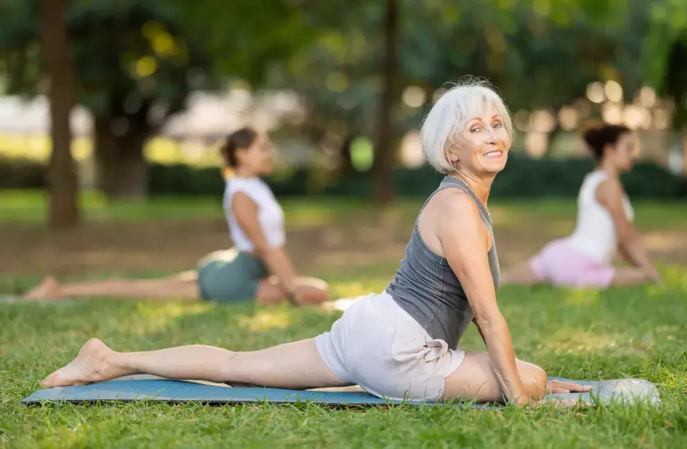 pozice holubí král