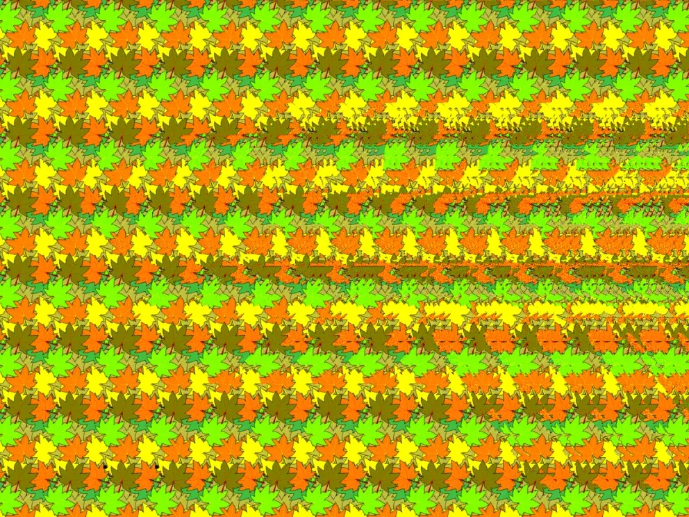 Autostereogramy, optické iluze s ukrytým 3D objektem