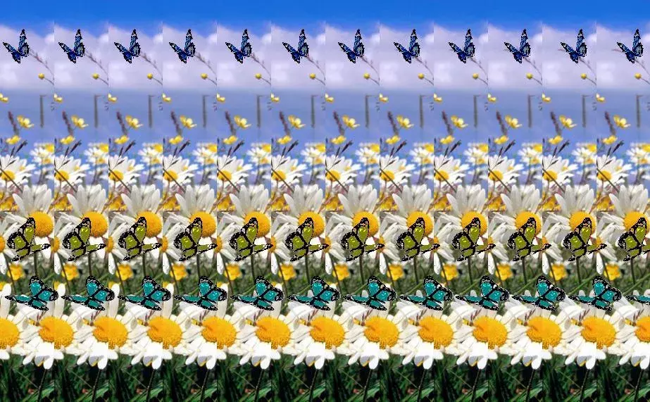 Autostereogramy, optické iluze s ukrytým 3D objektem