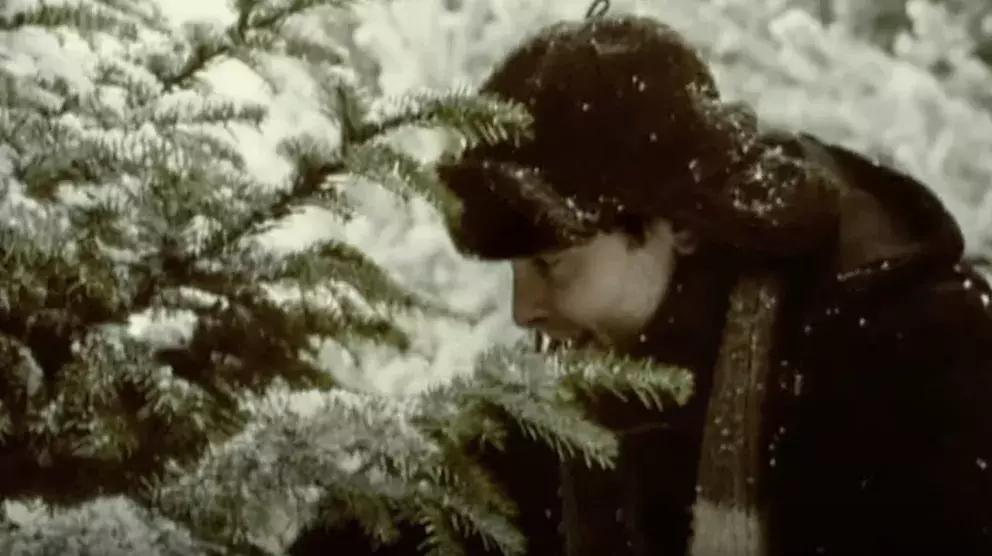 tatínek řeže vánoční stromeček