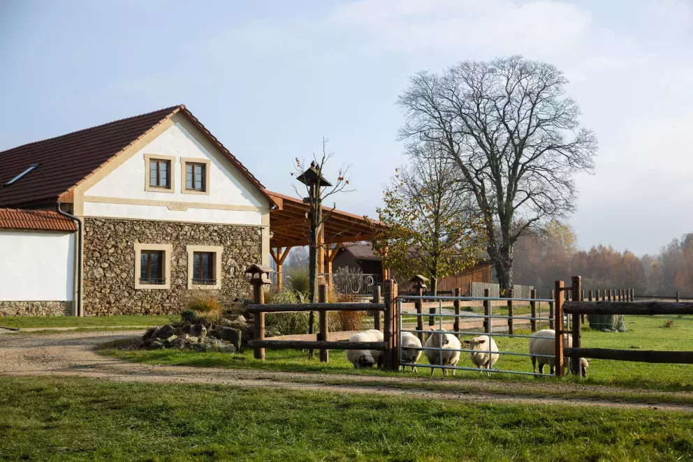 <p>Nekonečný seriál Ulice sleduje dramatické osudy několika spřátelených rodin žijících v sousedstvi</p>
