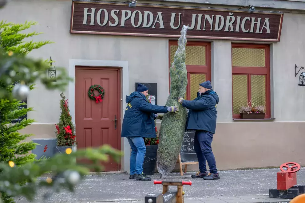 seriál Ulice, nákup vánočního stromku