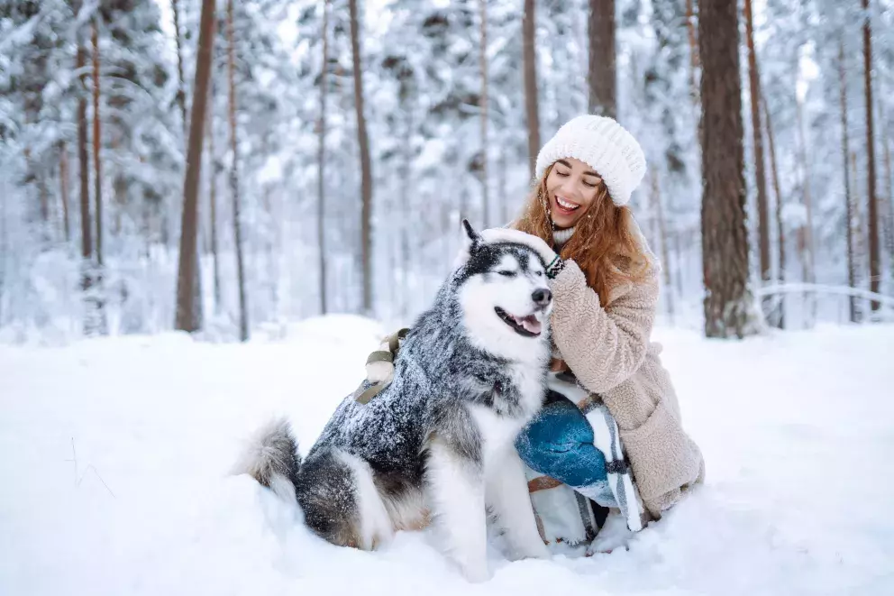 Vezměte psího parťáka na novoroční procházku a dopřejte sobě i jemu zdravý pohyb v přírodě. 