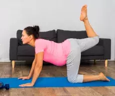 Zanožování v kočce