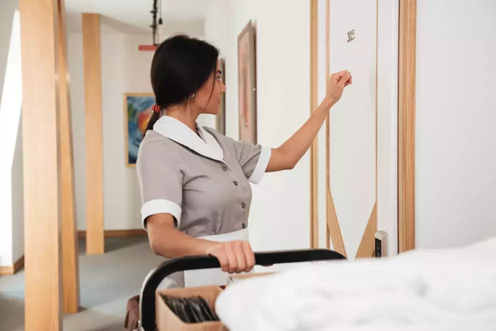 žena, pokojská, práce