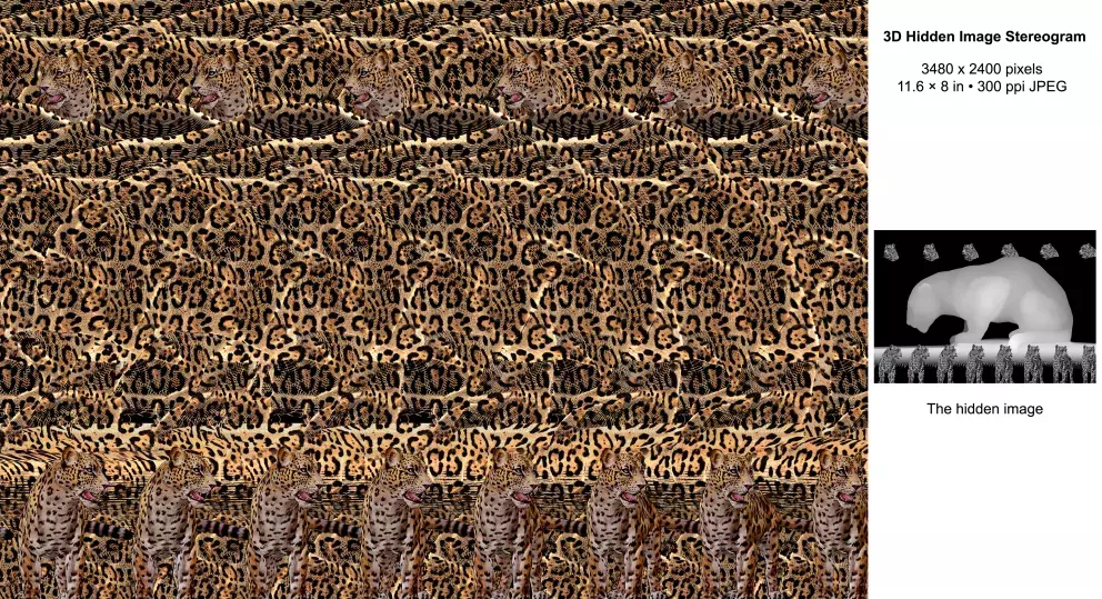 stereogram