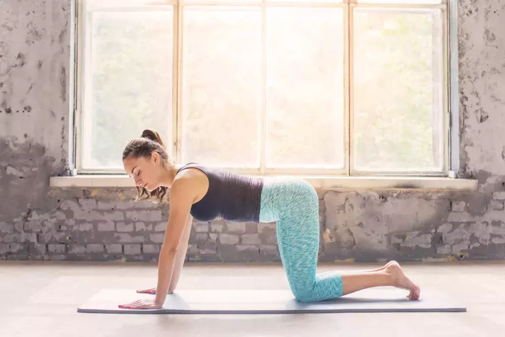 základní postavení cviku kočka