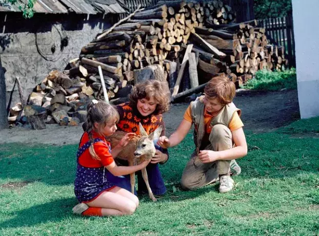 Tajemství proutěného košíku