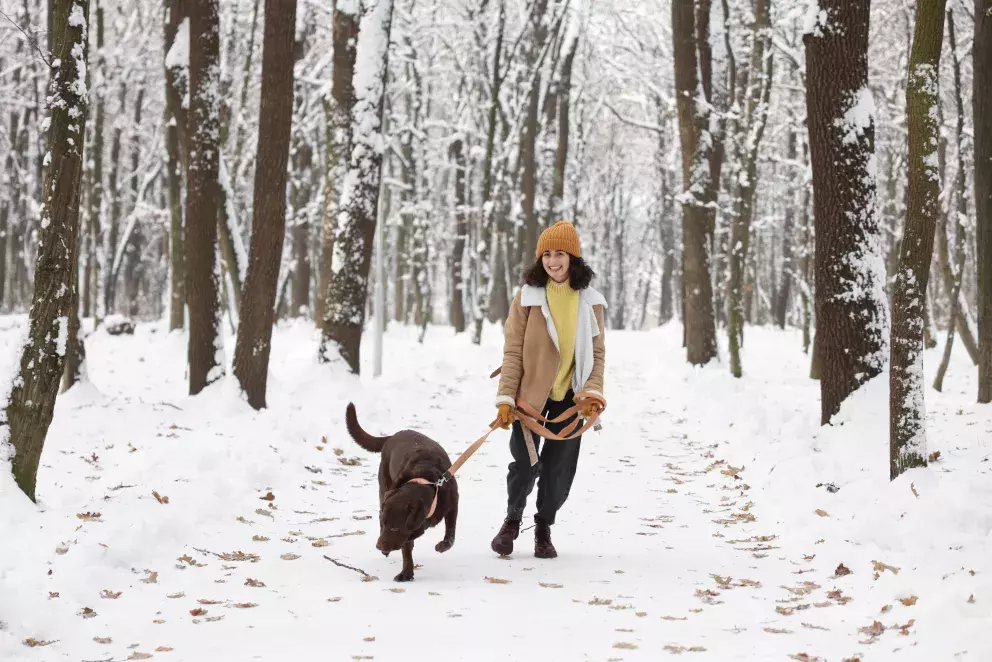žena se psem na procházce