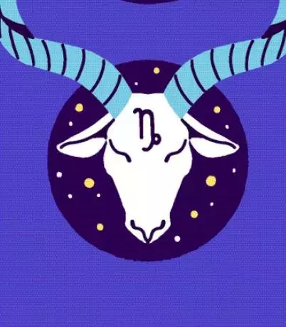 znamení zvěrokruhu, kozoroh