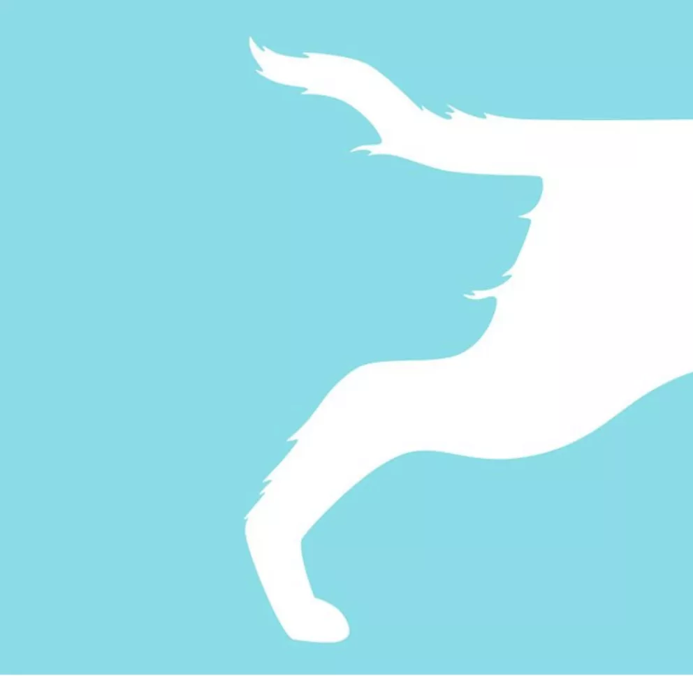 Co vidíte na obrázku jako první?