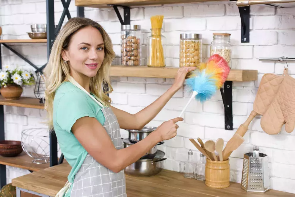 žena, úklid, žena v domácnosti, péče