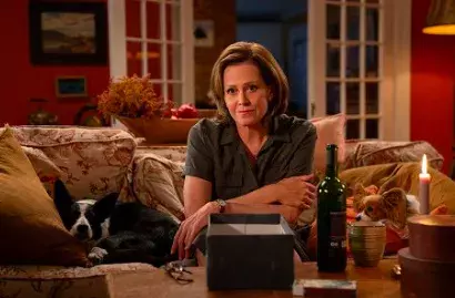 Hollywoodské hvězdy