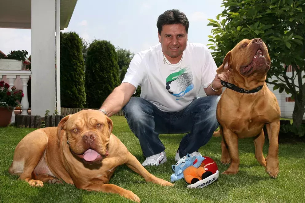 Vladimír Růžička