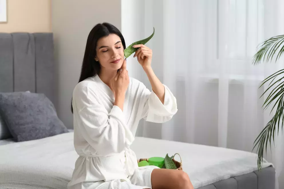 ošetření aloe vera