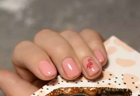 nehty s plameňákem