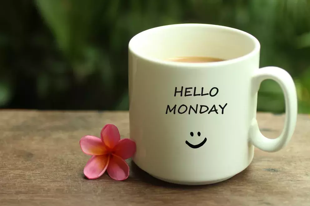 <p><strong>16. června – pondělí</strong><br />
Začátek týdne přeje novým vizím. Energie se obrací do budoucnosti, myšlenky jsou odvážnější. Stále však zůstává citlivost, proto se vyplatí být laskaví – i když jednáte rozhodně. Den může přinést nové příležitosti nebo inspiraci k tomu, co zkusit jinak.</p>
