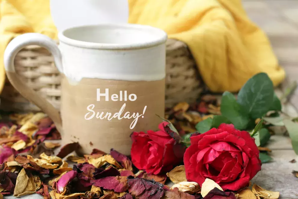 <p><strong>15. června – neděle</strong><br />
Den přináší větší klid, ale také potřebu porozumění. Komunikace je klíčová – s okolím, ale i se sebou samými. Vhodné pro psaní, journaling nebo rozhovory s lidmi, kterým důvěřujete. Co nedořčeného zůstalo během úplňku, může být dnes vyjasněno.</p>
