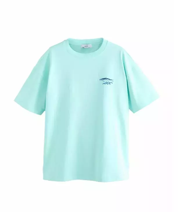 Tričko s potiskem, Next, 910 Kč