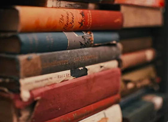 Literatura 19. a 20. století