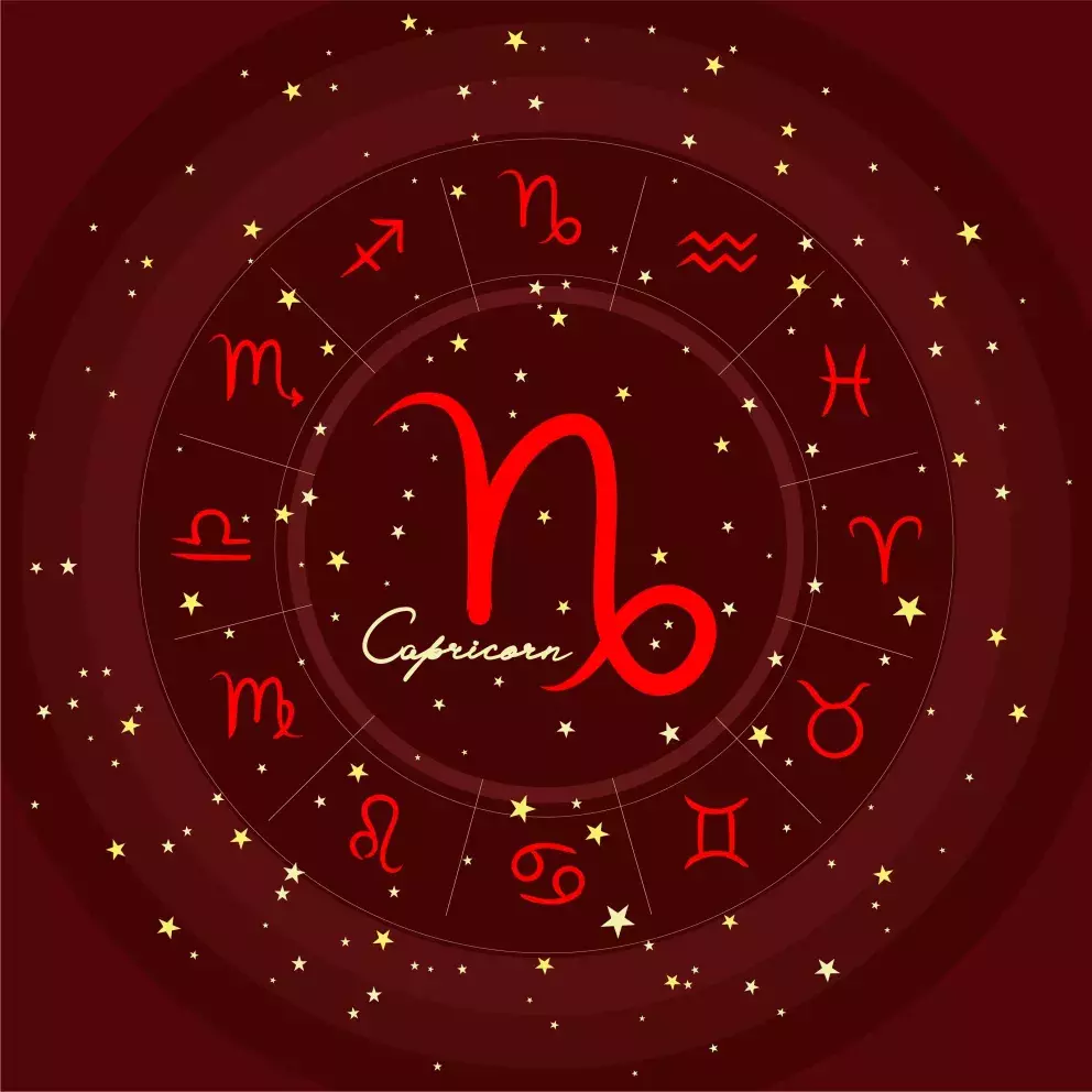 znamení zvěrokruhu, kozoroh