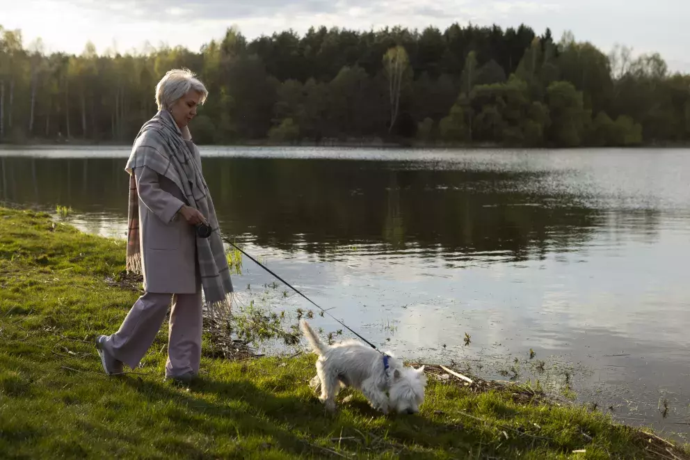 žena, smutek, problém, úmrtí, život