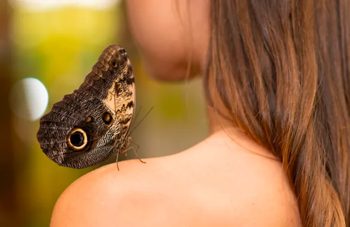 Jaké zvíře jste podle horoskopu duše: Spirituální průvodci znamení