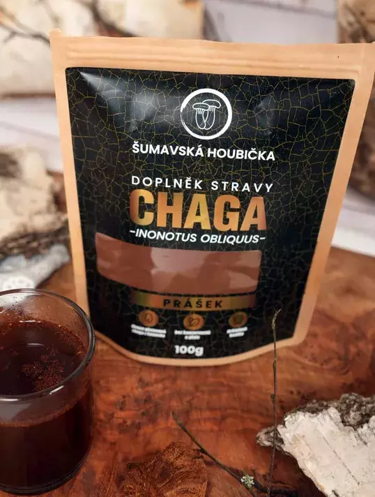Chaga prášek