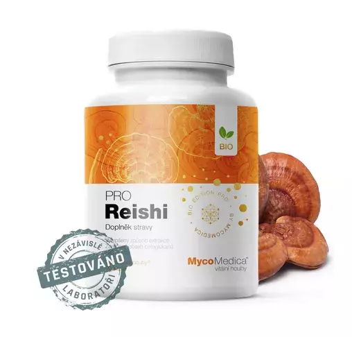Reishi