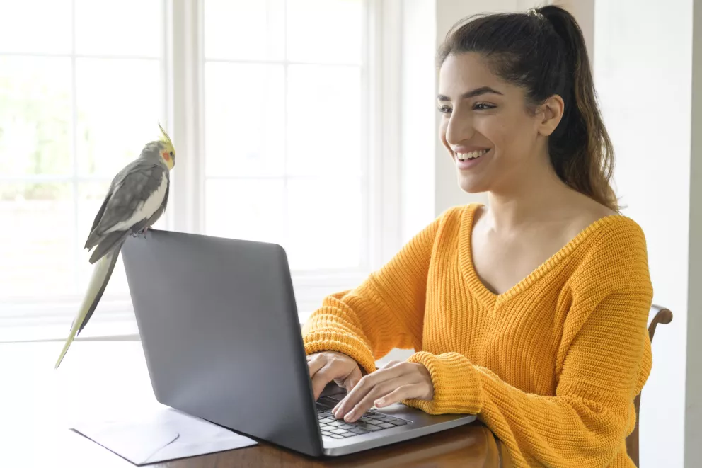 Tento výstřih vás prodlouží. Trendy je nejen na svetrech, ale také tričku s dlouhým rukávem