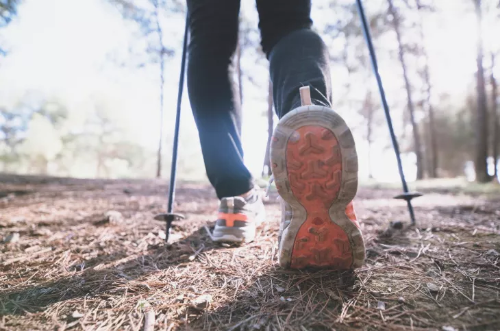 Nordic walking