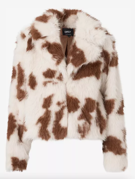 <p>ONLY 1949 Kč</p>
